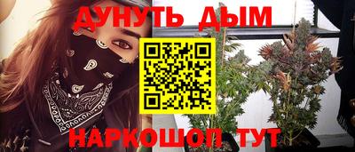 трава Будённовск