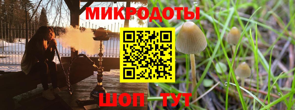 Рузаевка  Псилоцибиновые грибы Psilocybine cubensis  Вход с VPN 
